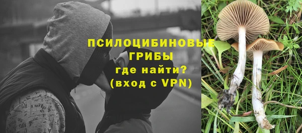 стафф Заволжск